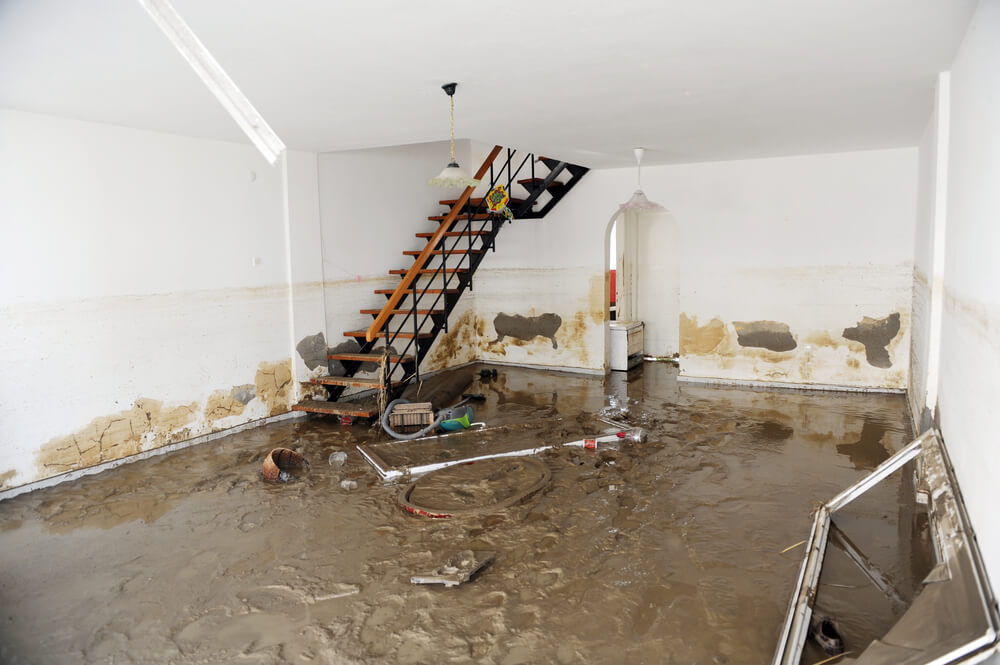 mold-does-homeowners-insurance-cover-all-rain-damage-bulldog adjusters (1)