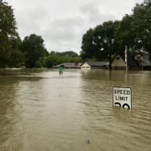 In Florida we talk a lot about best hurricane practices, but what are some of the best hurricane practices for a flood? Flood is a major concern in Florida and even a minor hurricane can deliver massive flooding - flood - home damage - flood - home damage - bulldog adjusters- bulldog adjusters (1)