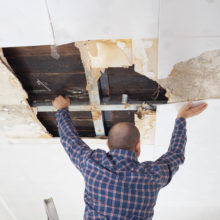 Avoid Mold this Hurricane Season-mold-Deadlines for a property claim-roof leak - home damage - bulldog adjusters (1)