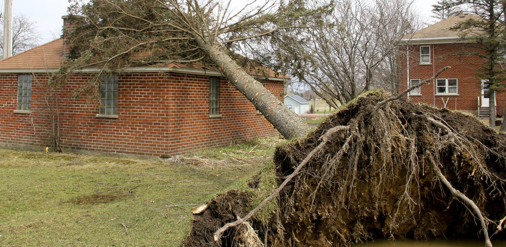 replace a roof-roof damage-bulldog adjusters-hail damage - home damage - bulldog adjusters -Roof-replacement-bulldog adjusters-wind damage - home damage - bulldog adjusters (1)