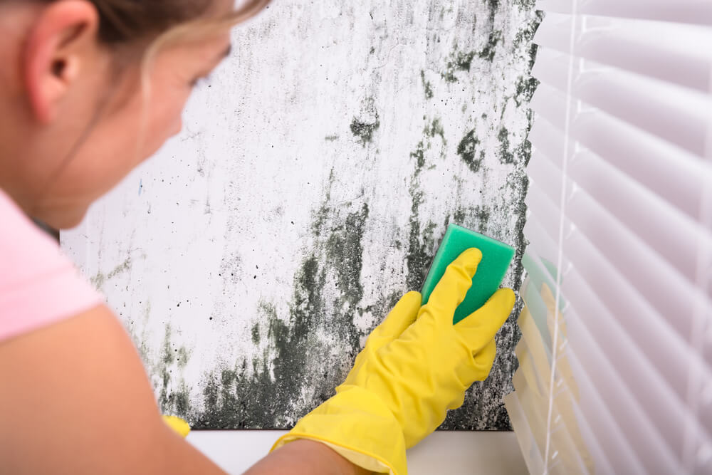 Is Black Mold From Water Damage Making You Sick