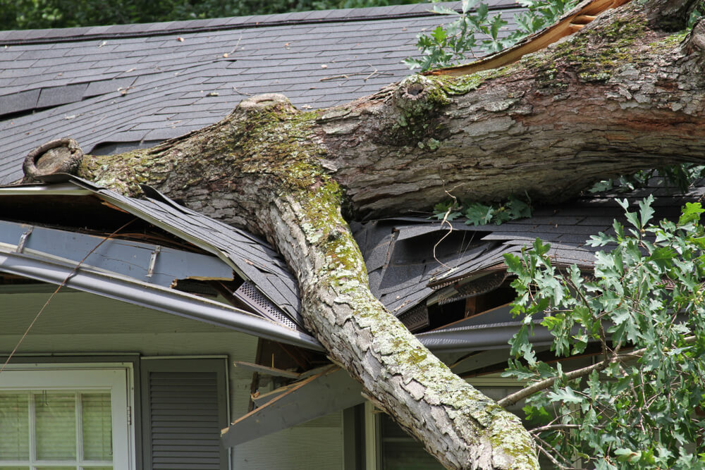 Hurricane Damage 1 | Hurricane Season | Bulldog Adjusters