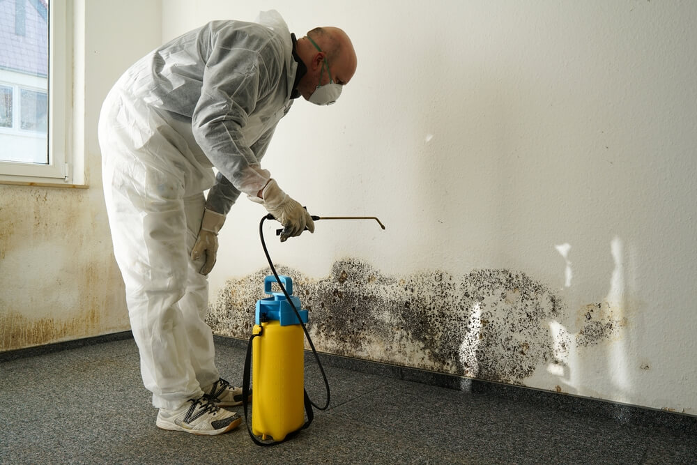 Remediation | Mold Damage | Bulldog Adjusters