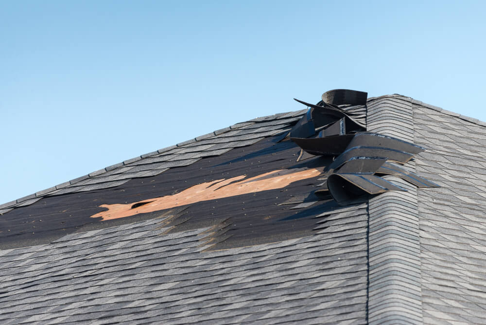 Shingles | Wind Damage | Bulldog Adjusters