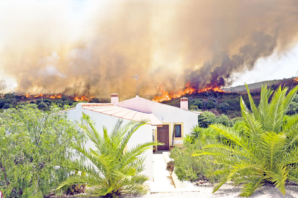 House | Brush Fires | Bulldog Adjusters