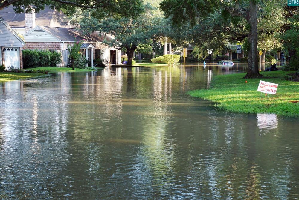 Flood | Hurricane Damage | Bulldog Adjusters