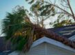 When Do You Know You Need A Public Adjuster?