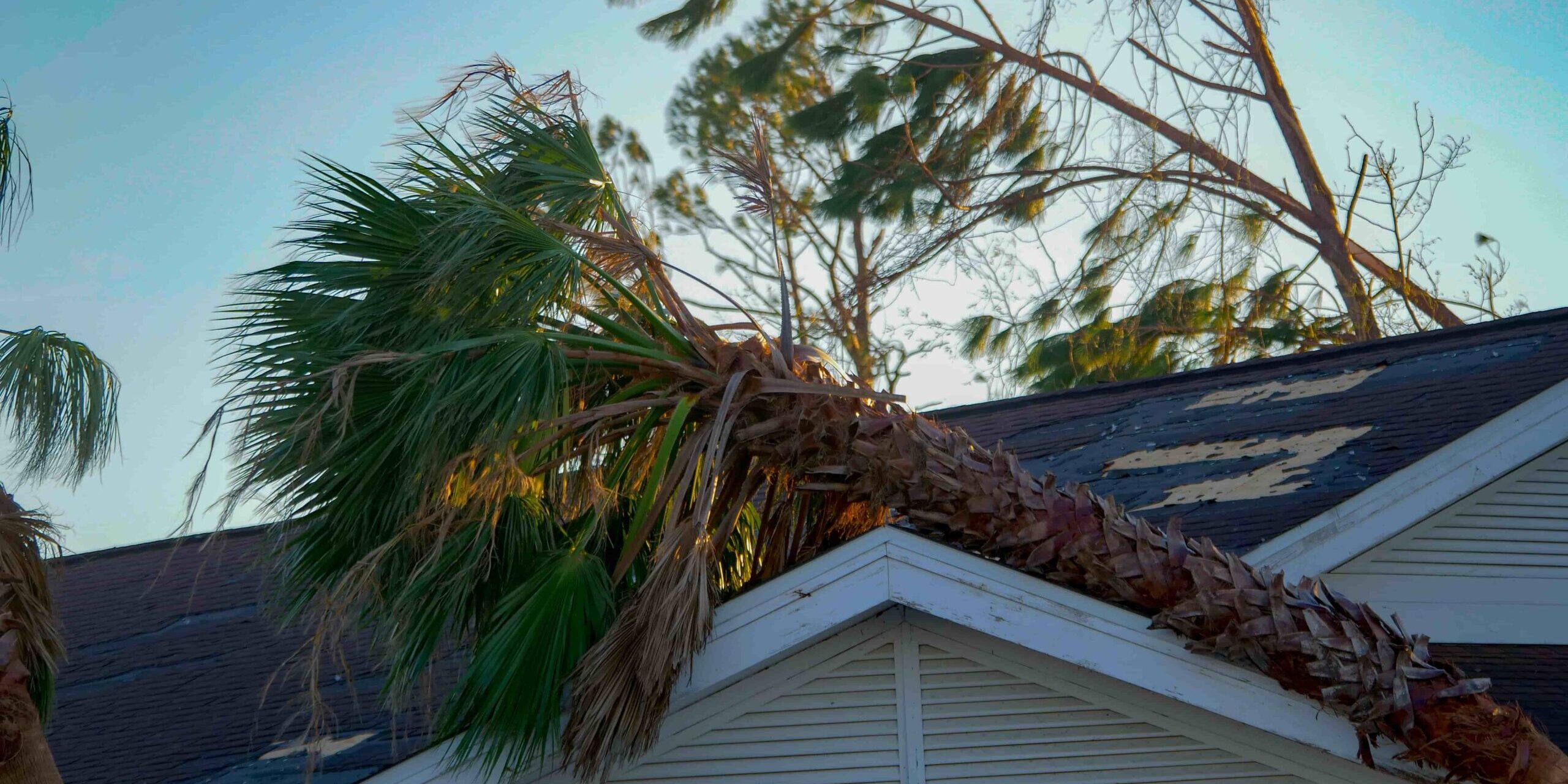 When Do You Know You Need A Public Adjuster? When Do You Know You Need A Public Adjuster?